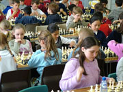 手机号在线轰炸